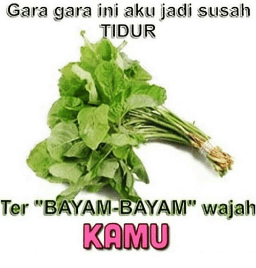 gara-gara © 2017 Istimewa gara-gara © 2017 Istimewa