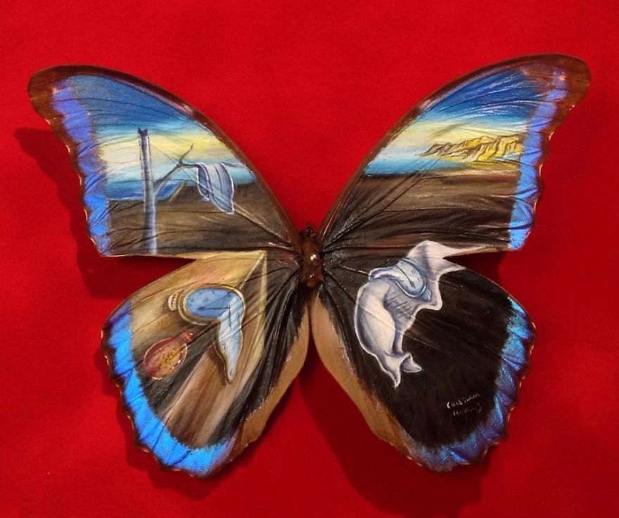 11 Lukisan pada sayap kupu kupu  ini uniknya memukau