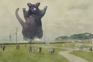 10 Foto editan hewan berkantung ini lucu-lucu geli