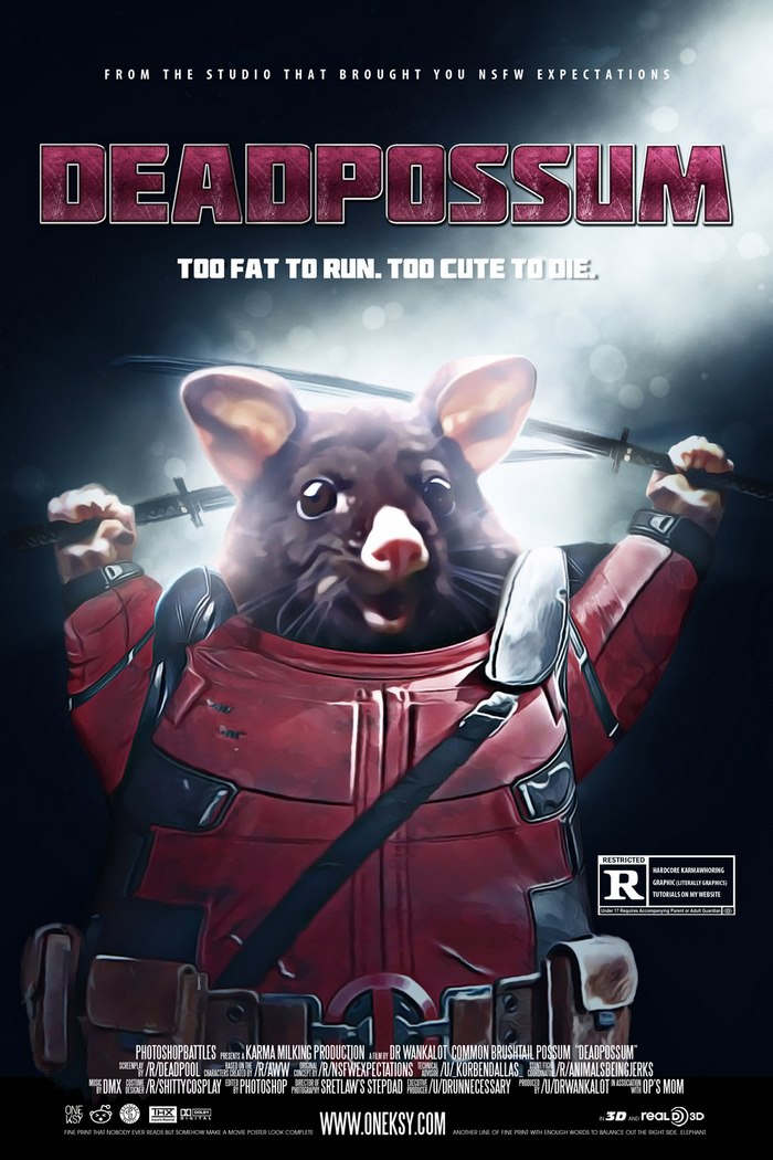 editan possum © 2017 boredpanda.com editan possum © 2017 boredpanda.com