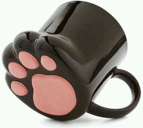 Mug Ala Kucing © 2017 brilio.net Mug Ala Kucing © 2017 brilio.net