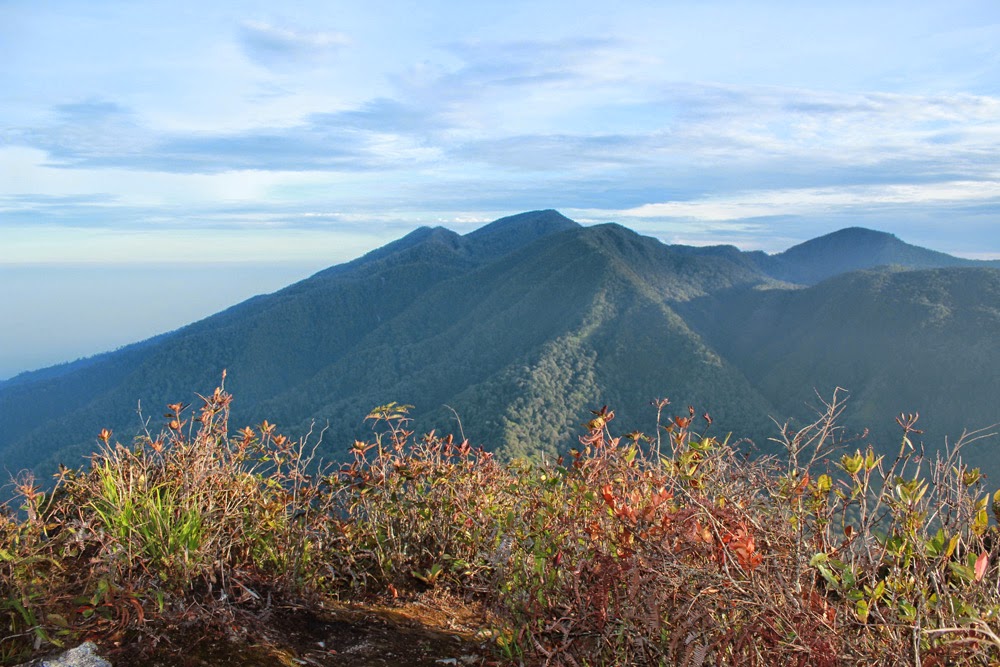 7 Gunung tertinggi di Pulau Sumatera ini cocok bagi pendaki 
