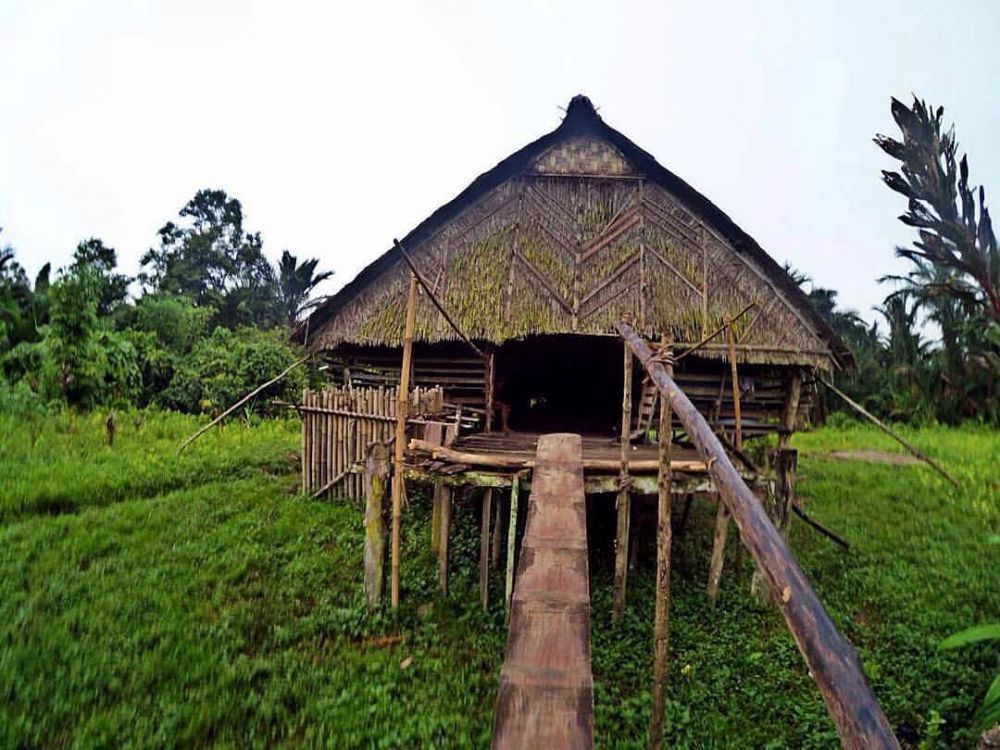 5 Things You Need To Know About Mentawai  Tribe