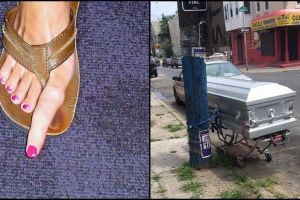 12 Foto absurd ini bakal bikin kamu bergumam 'yang bener aja'