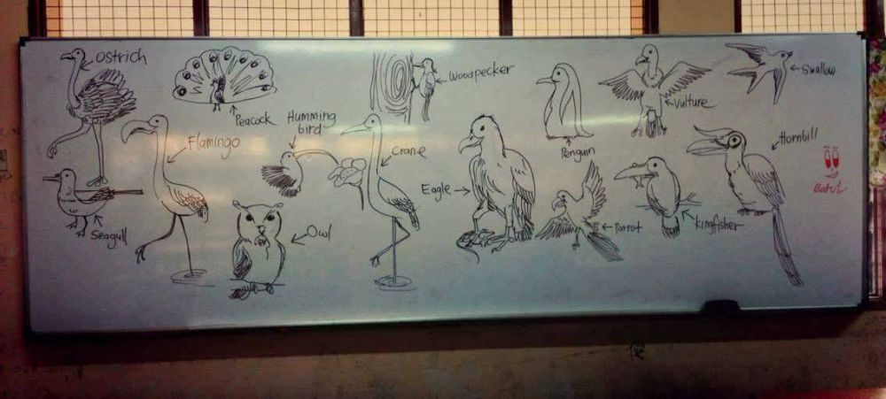 foto coretan guru di papan tulis © 2017 Facebook/@siakapkelipress