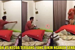 Video cowok ketakutan sama kecoa terbang ini bikin ngakak seharian