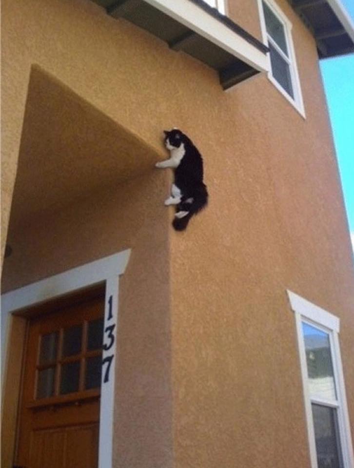 foto aneh  © 2017 OMGViral TV