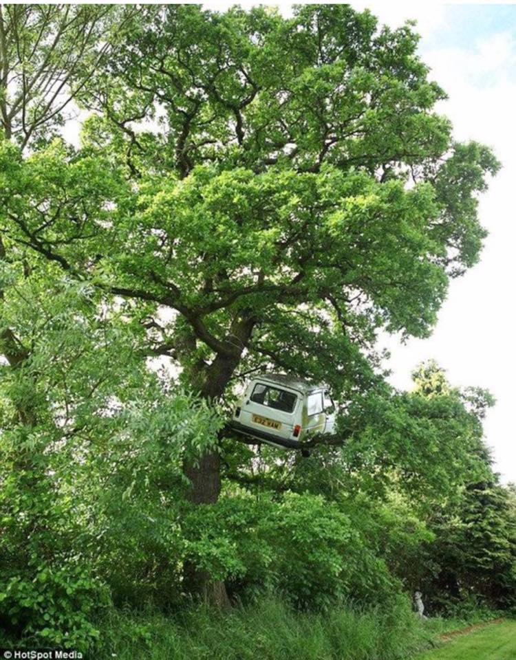 foto aneh  © 2017 OMGViral TV