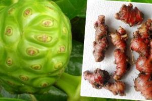 Ini manfaat tersembunyi jahe dan mengkudu yang jarang orang tahu