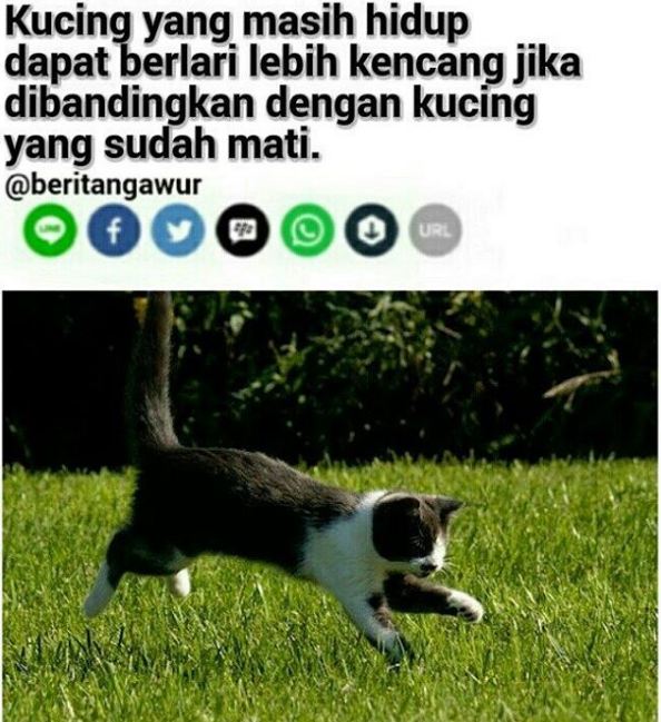 judul berita ngasal yang bikin ketawa ngakak © 2017 berbagai sumber