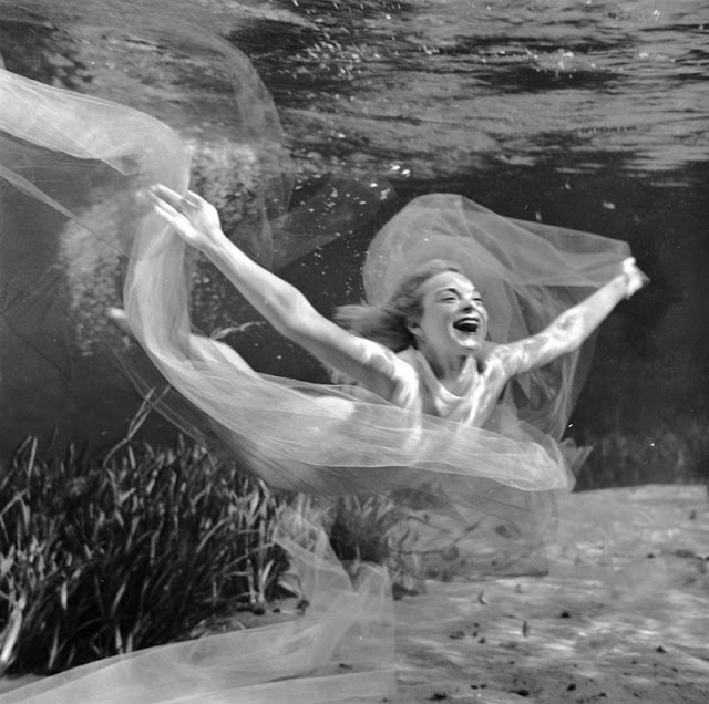 14 Foto underwater pertama di dunia ini hasilnya bikin takjub