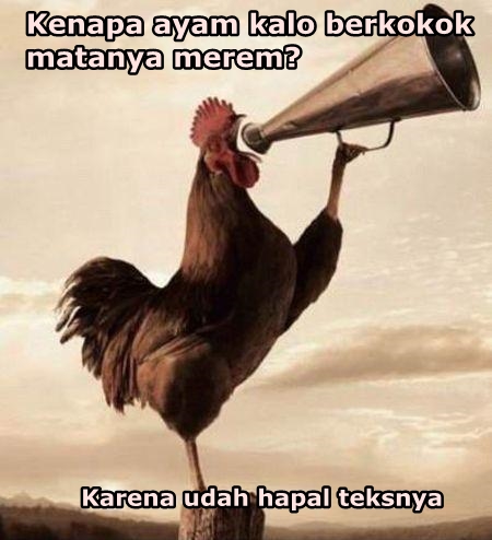 10 Meme pelesetan 'ayam' ini bikin geli gimana gitu