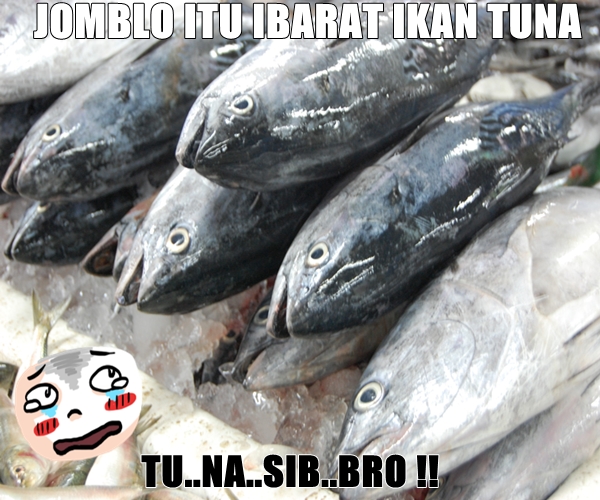 perumpaan jomblo © 2017 brilio.net