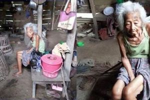 Nenek 90 tahun ini hidup sebatang kara ditemani ayam di rumah reotnya