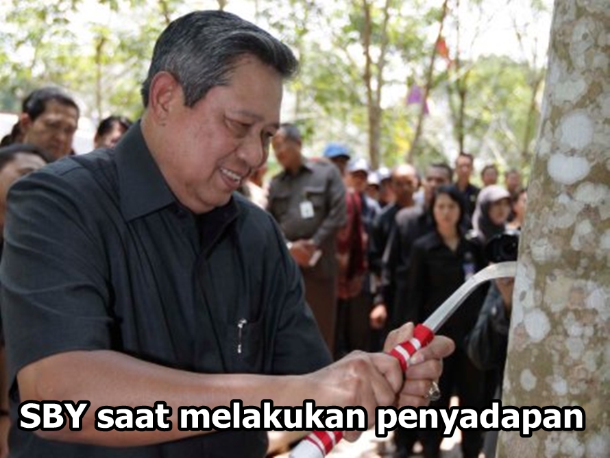 10 meme sadap © 2017 brilio.net