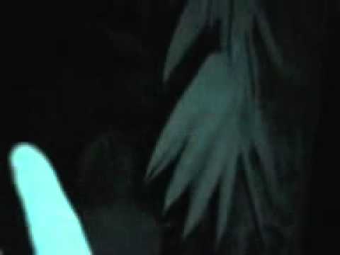 Program TV misteri © 2017 istimewa