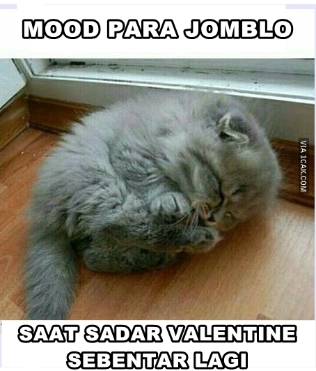 meme valentine ini siap nyindir sekaligus bikin ketawa © 2017 berbagai sumber