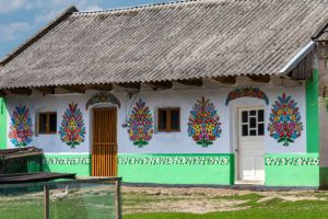 10 Inspirasi dinding rumah unik, cocok buat kamu yang suka motif bunga