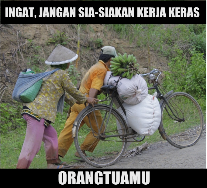 Ortu kerja © 2017 Istimewa