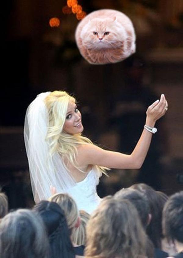 foto editan pengantin lempar bunga ini bikin ngakak © 2017 bajiroo