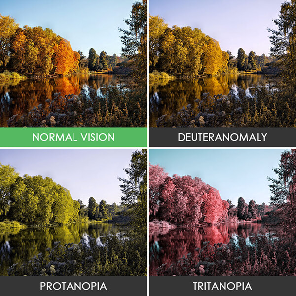 16 Foto perbedaan benda jika dilihat dengan mata normal dan buta warna