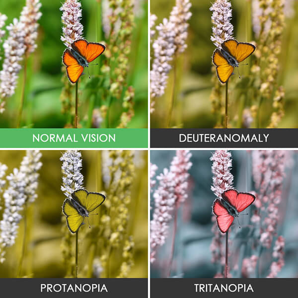 Buta warna dan normal © 2017 designswan Buta warna dan normal © 2017 designswan