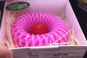 Stroberi ini dijual seharga Rp 300 ribu per buah, apa istimewanya?