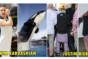 12 Penampilan busana orang terkenal yang ternyata mirip benda sekitar