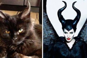 10 Binatang ini mirip banget dengan tokoh di film fiksi