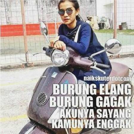 meme pecinta burung ini bikin geli geli gimana gitu © 2017 berbagai sumber meme pecinta burung ini bikin geli geli gimana gitu © 2017 berbagai sumber