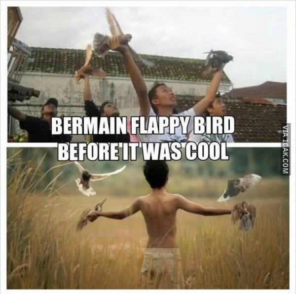 meme pecinta burung ini bikin geli geli gimana gitu © 2017 berbagai sumber meme pecinta burung ini bikin geli geli gimana gitu © 2017 berbagai sumber