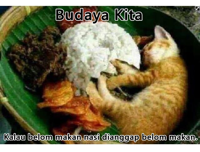 meme budaya kita © 2017 brilio.net meme budaya kita © 2017 brilio.net