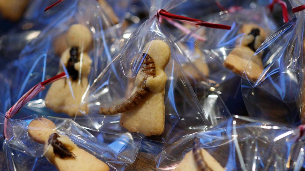 foto hidangan penutup di restoran ini bikin mau muntah © 2017 berbagai sumber