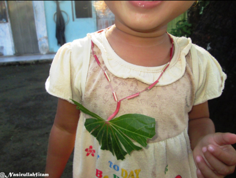 ide unik indonesia istimewa ide unik indonesia istimewa