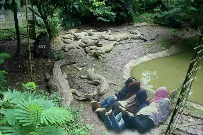 editan selfie cewek trotoar © 2017 brilio.net editan selfie cewek trotoar © 2017 brilio.net