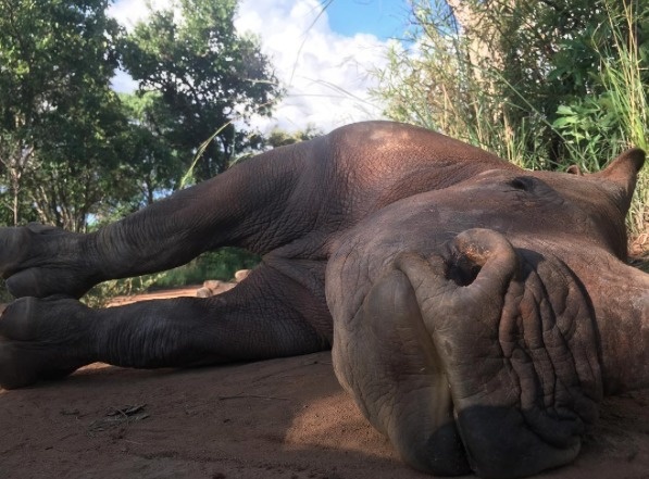 Nandi Mewie © 2017 brilio.net Nandi Mewie © 2017 brilio.net