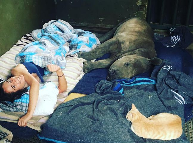 Nandi Mewie © 2017 brilio.net Nandi Mewie © 2017 brilio.net