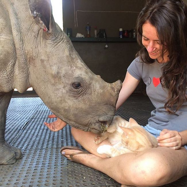 Nandi Mewie © 2017 brilio.net Nandi Mewie © 2017 brilio.net