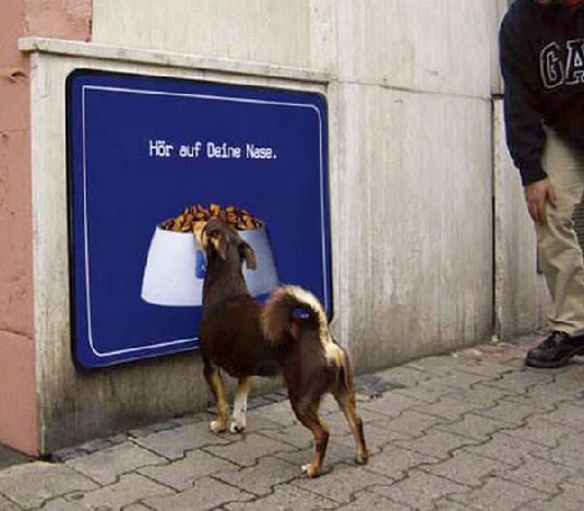 hewan sial © 2017 brilio.net