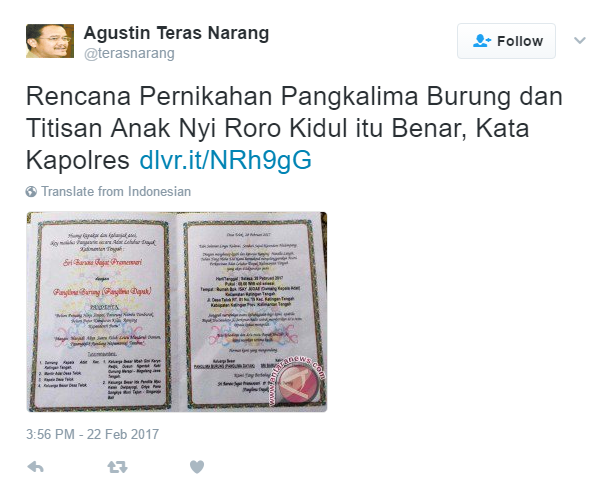 pernikahan panglima dayak istimewa
