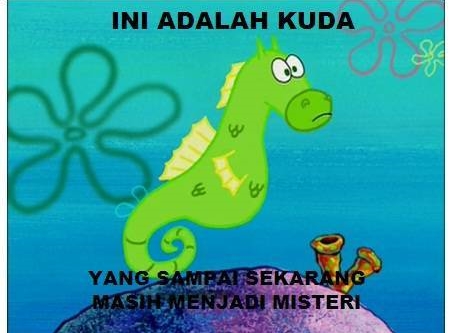 meme macam kuda © 2017 brilio.net