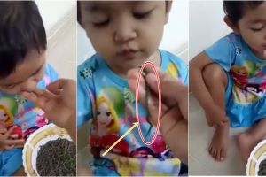 Video anak makan cacing hidup-hidup ini bikin jadi mual nggak sih?
