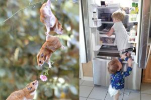 12 Foto ini buktikan jika ingin sukses butuh teamwork, keren