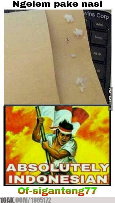 meme Absolutely Indonesian © 2017 brilio.net