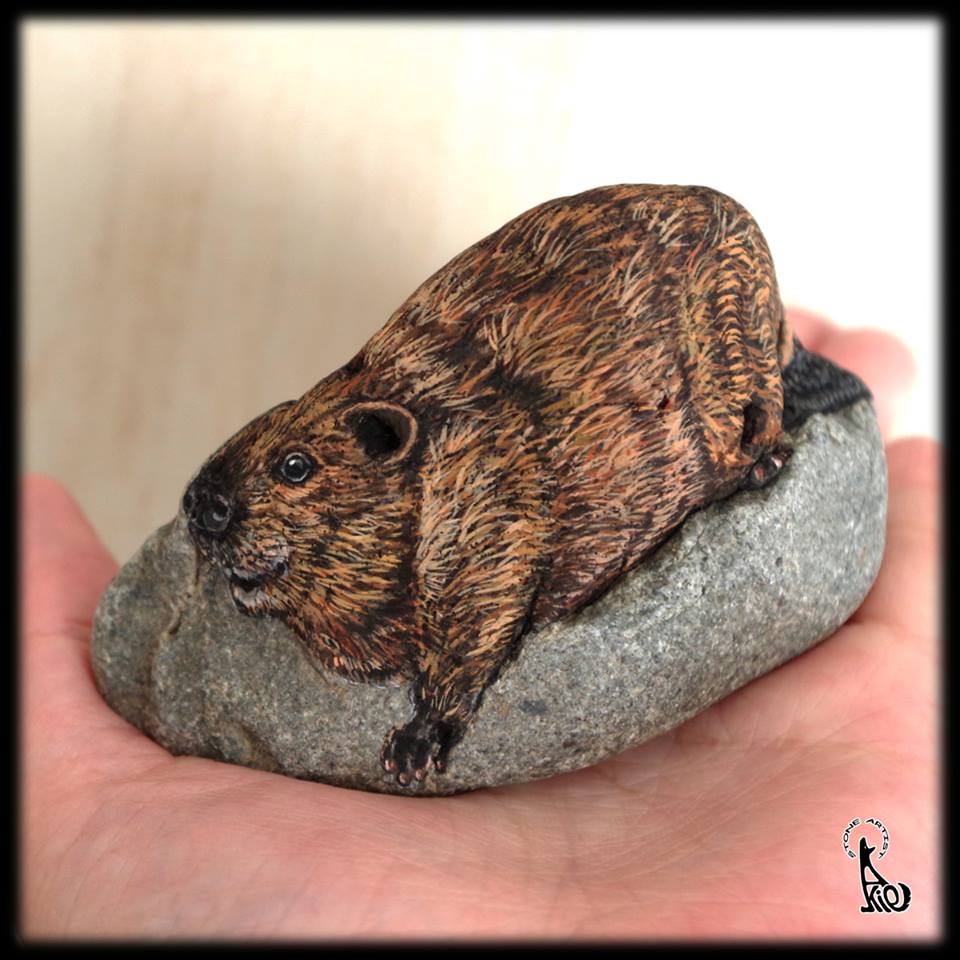 Есть я у камня у зверя. Японская художница акие наката. Akie Nakata. Роспись камней.. Камень животное. Животные на Камне.