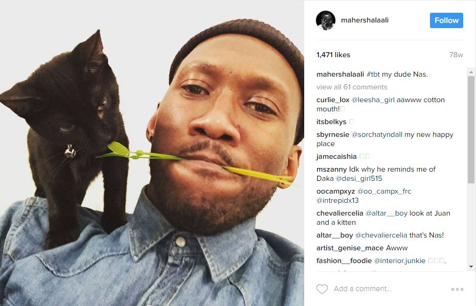 Fakta Mahershala Ali aktor muslim peraih oscar 2017 © 2017 cosmopolitan.com 