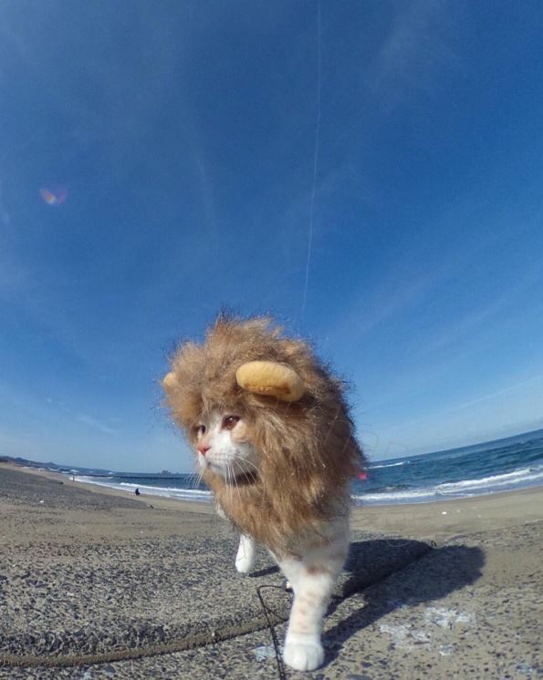 jura archange © 2017 brilio.net