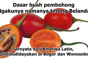 8 Meme macam-macam kebohongan makanan, kocaknya bikin ketawa lepas