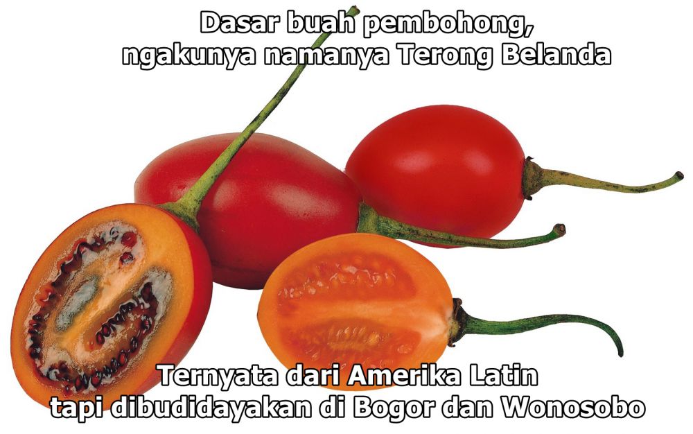 meme kebohongan makanan © 2017 brilio.net