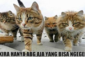 15 Foto kerennya ketika hewan 'nge-geng', gahar abis